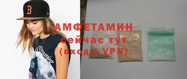 эйфоретик Няндома