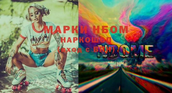 эйфоретик Няндома