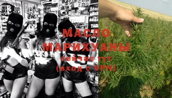 эйфоретик Няндома