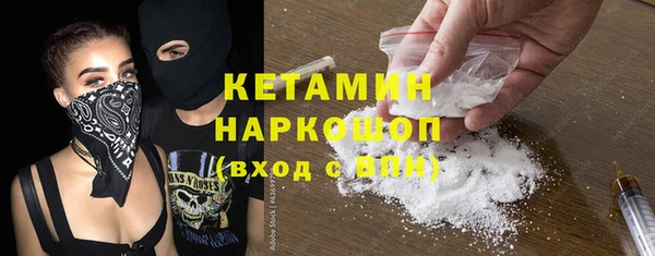 эйфоретик Няндома