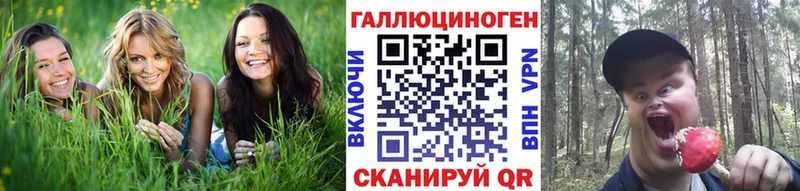 Галлюциногенные грибы мицелий  Салаир 